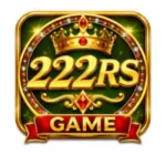 22RS Game